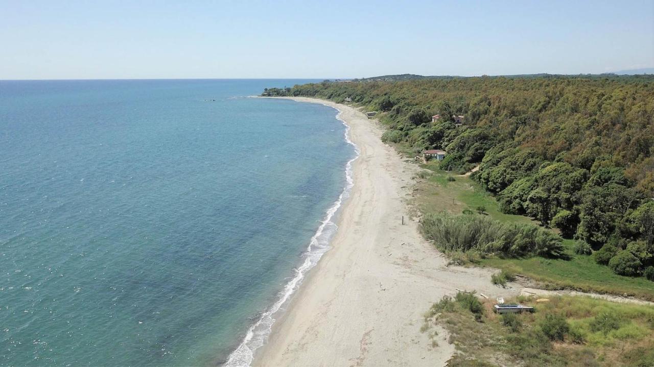 Marine De Bravone T2 Terrasse Front De Mer - Plage Pieds Dans L'Eau - Clim - Piscine - Wifi Linguizzetta Екстериор снимка