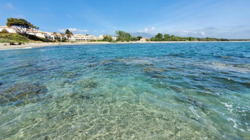 Marine De Bravone T2 Terrasse Front De Mer - Plage Pieds Dans L'Eau - Clim - Piscine - Wifi Linguizzetta Екстериор снимка